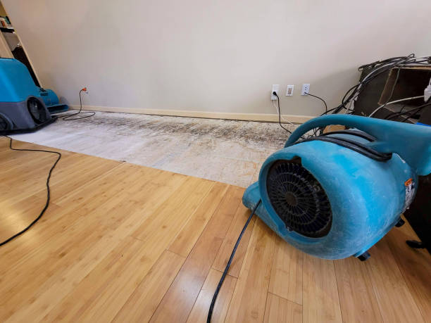 Professional Water Damage Repair technician working in Oak Park, IL